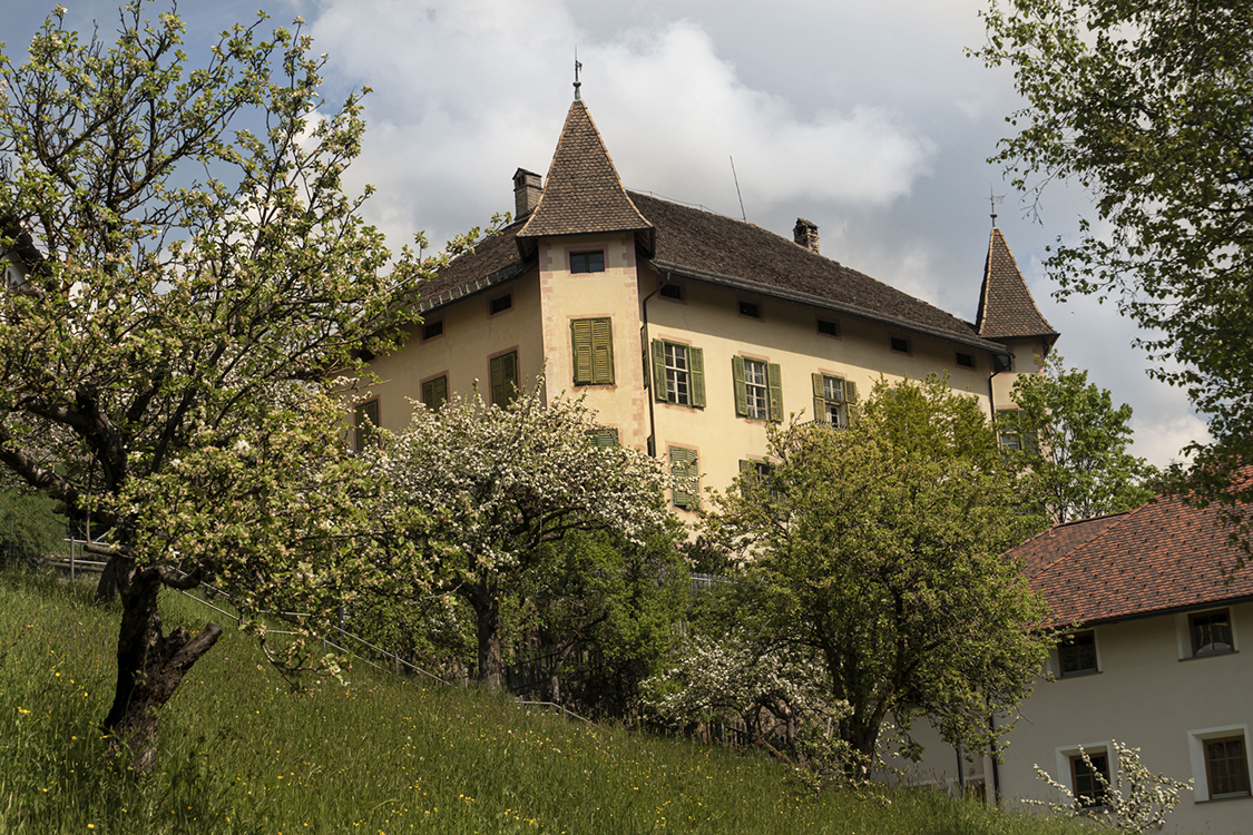 P5120264 - Copia.jpg